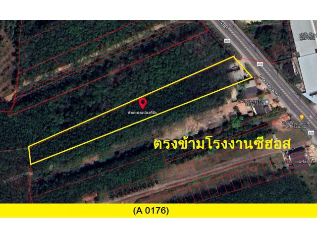 (A0176) สวนยาง ต.จะโหนง อ.จะนะ ติดถนน สายหลัก หน้ากว้าง 32 เมตร พื้นที่ 4ไร่ 1 งาน 90 ตรว.