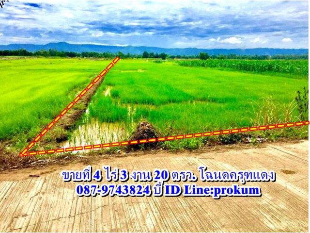 ขายที่ดิน 4 ไร่ 3 งาน 20 ตรว.โฉนดครุฑแดง