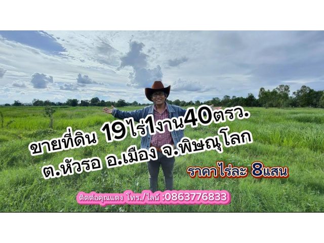 ที่ดิน ใกล้ชุมชน เนื้อที่ 19ไร่1งาน40ตรว. ต.หัวรอ อ.เมือง จ.พิษณุโลก ไร่ละ8แสน