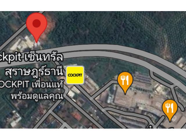 ขายที่ดินตรงข้ามคอนโดเซนทรัลสุราษฎร์ธานี โฉนด5-1-36ตรว.หน้ากว้างติดถนนสุราษฎร์-สนามบิน ราคา140ล้านบาท โฉนด