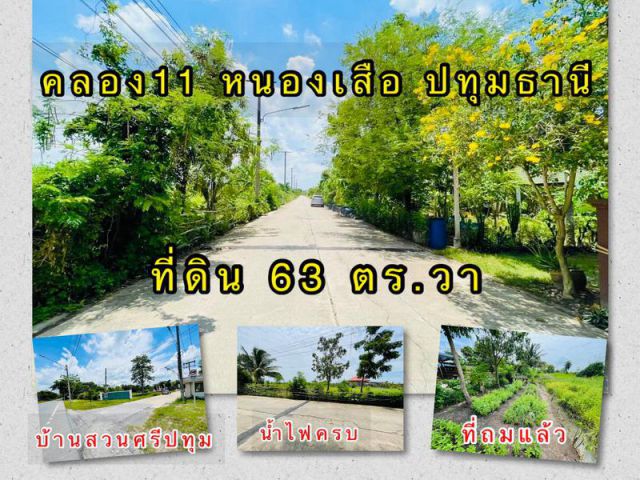 ที่ดิน 63 ตร.วา ในม.บ้านสวนศรีปทุม คลอง11 อ.หนองเสือ จ.ปทุมธานี