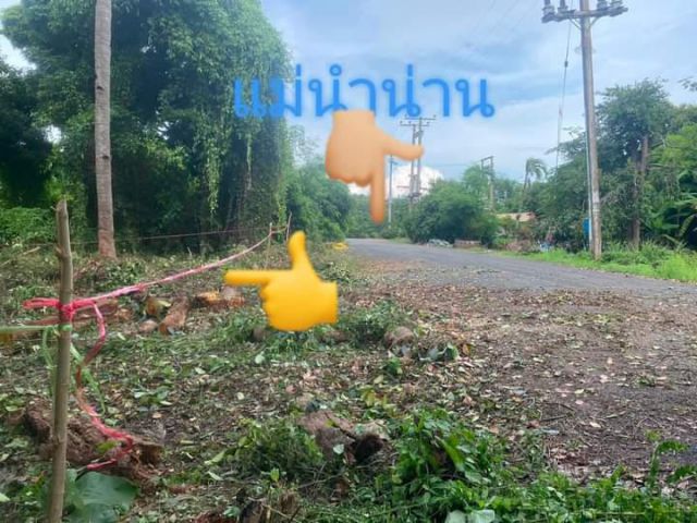 ที่ดินอยู่อาศัย แปลงสวย ติดถนน ใกล้น้ำน่าน อ.ตรอน อุตรดิตถ์