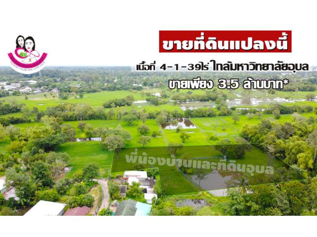 ขายที่ดินเปล่า 4-1-39ไร่ โฉนด นส.4 (ครุฑแดง) โซนวารินชำราบ