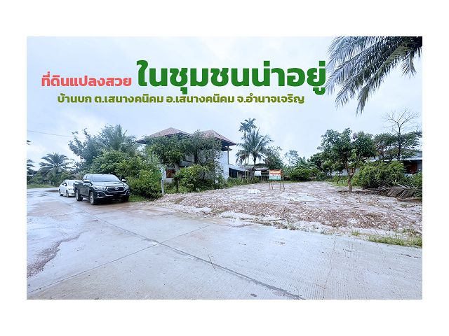 ขายที่ดินแปลงสวย ถมแล้ว ทำเลดี ในชุมชนน่าอยู่ 1 งาน 23 ตร.ว. บ้านบก ต.เสนางคนิคม อ.เสนางคนิคม จ.อำนาจเจริญ