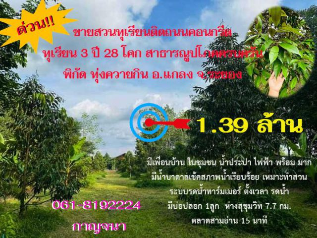 ขายสวนทุเรียนราคาถูก 1.39 ล้านบาทเท่านั้นทุเรียนสวยติดถนนลาดยางหมู่บ้าน อ.แกลง จ.ระยอง