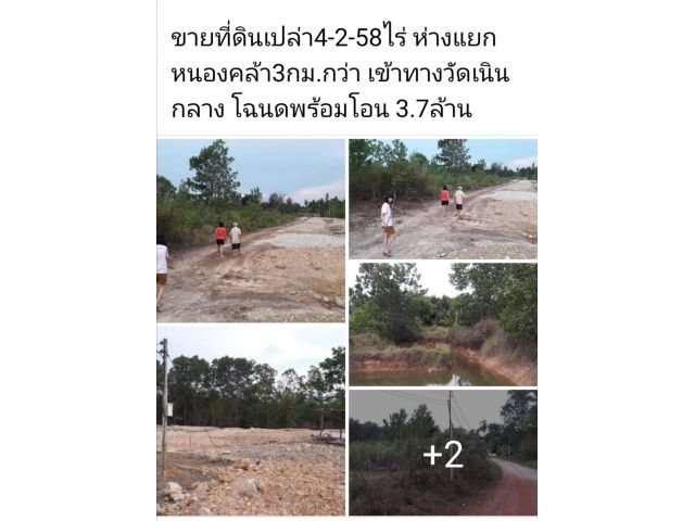 ที่ดินเปล่า 4-2-58 ไร่ ยกแปลง 3.7ล้านบาท พร้อมโอน