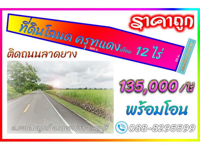 ►►► New *** ขายที่ดินราคาถูกเกือบ 12 ไร่ เอกสารโฉนด หนองม่วง ลพบุรี ราคาขายเพียง 135,000 บาทต่อไร่