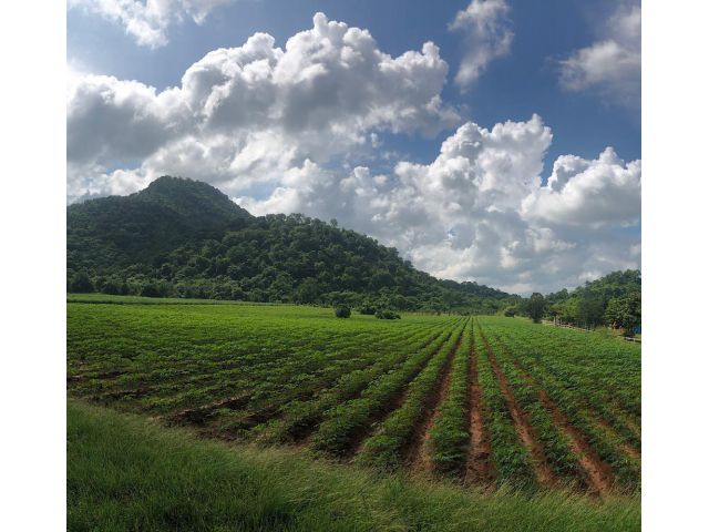 ขายที่ทิวทัศน์ภูเขา ที่สวยขนาบถนนยาวไป ด้านหลังติดลำธารน