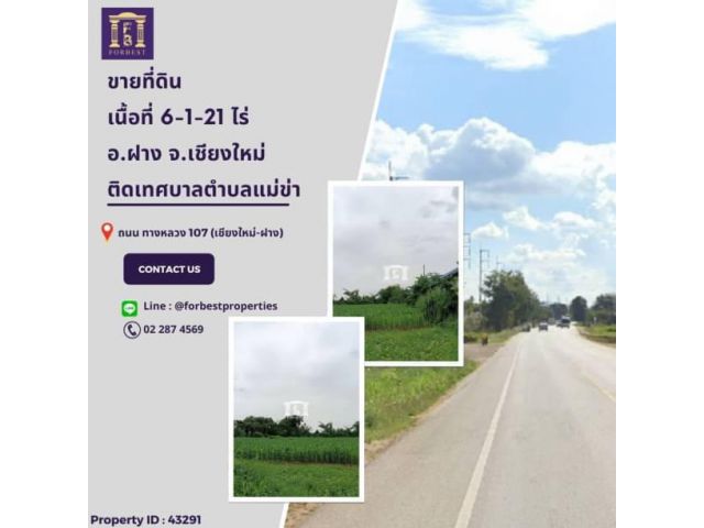 43291 ขายที่ดินเปล่าถนนทางหลวงหมายเลข 107 (เชียงใหม่-ฝาง)จ.เชียงใหม่