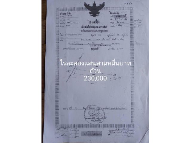 ขายที่8ไร่3งาน42ตรว.เขตอ.กุฉินารายณ์ ขายถูกไร่ละ230,000บาท