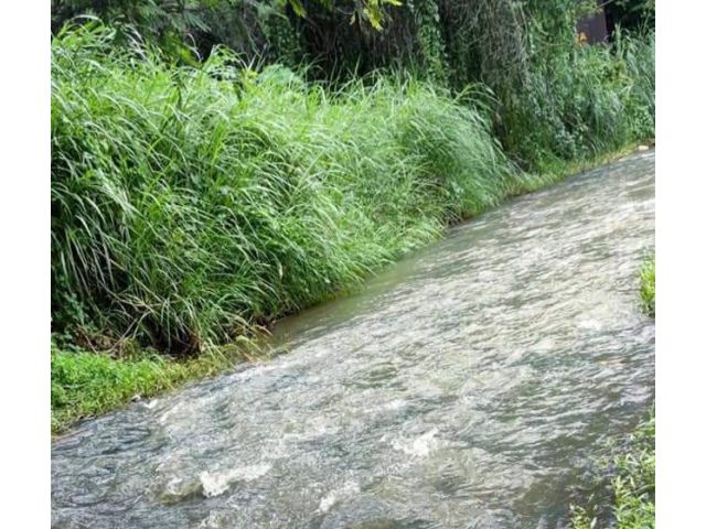 ขายที่ดินดอยสะเก็ตหน้าติดถนนหลังติดลำธารน้ำโฉนดพร้อมโอน