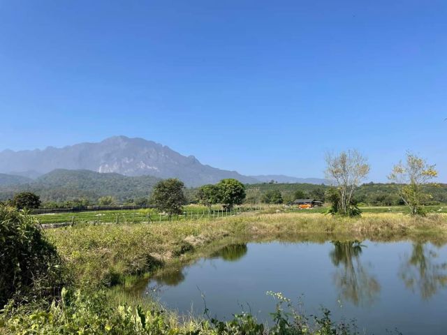 ขายที่ดินแม่นะเชียงดาววิวหลวงห่างอุทยานแห่งชาติ 3 กม