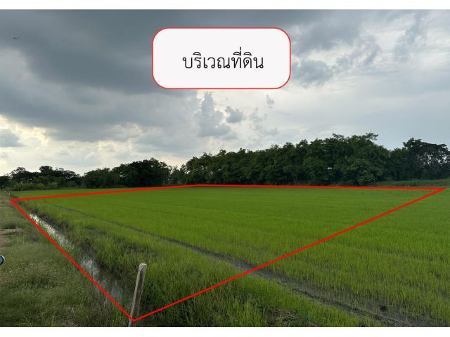 ขายที่ดิน 2 ไร่ ถนนเลียบคลองห้า ซอยคลองห้าตะวันตก 14 ใกล้ถนนกาญจนภิเษก (หมายเลข 9) และพิพิธภัณฑ์วิทยาศาสตร์