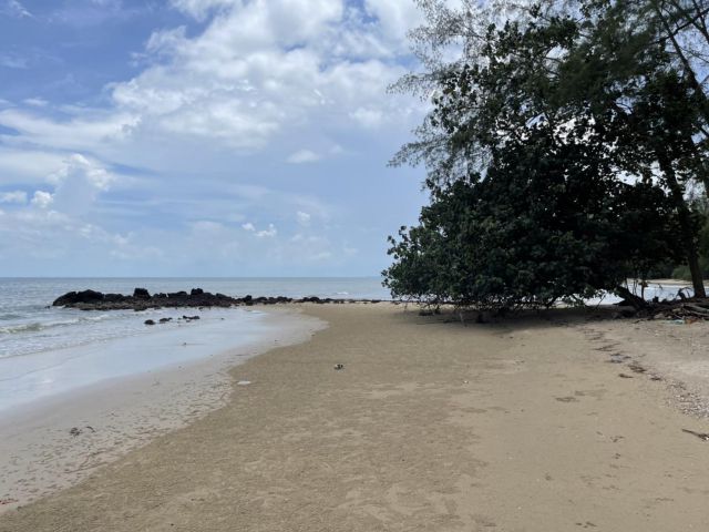 ขายที่ดินสวยริมหาด จ.ตราด 39 ไร่ พึ่งสร้างถนนภายในใหม่ เดินทางสะดวก เหมาะทำรีสอร์ท บ้านพัก มีสวนผลไม้หลายชนิดมากถึง 600