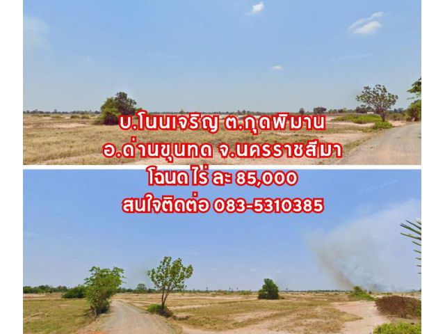 ขายที่ดิน 83 ไร่ (โฉนด) ไร่ละ 85,000 บ. บ.โนนเจริญ ต.กุุดพิมาน อ.ด่านขุนทด จ.นครราชสีมา