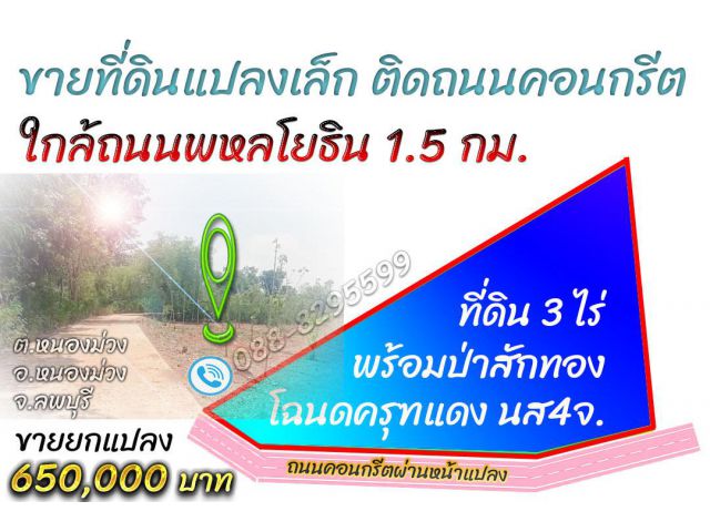 ►►► *** ขายที่ดินราคาถูกเกือบ 3 ไร่พร้อมต้นสักทอง เอกสารโฉนด หนองม่วง ลพบุรี