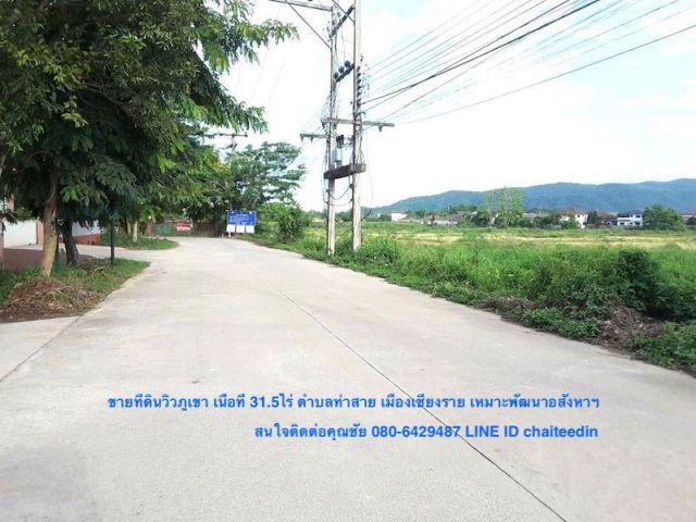 ###ขายที่ดิน 31-3-17ไร่ ตำบลท่าสาย เมืองเชียงราย ที่ดินติดทางสาธารณะโยชน์ 42เมตร วิวภูเขา เหมาะพัฒนาเป็นที่พักอาศัย###