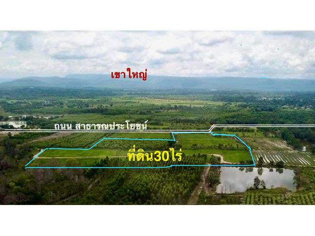 ขายที่ดิน 30 ไร่ วิวเขาใหญ่ เขตอำเภอประจันตคาม จังหวัดปราจีนบุรี