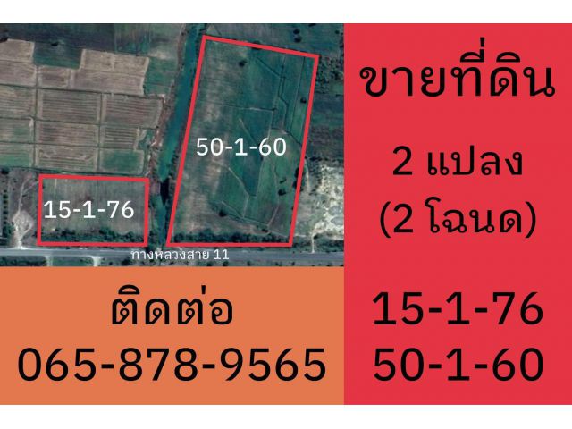 ขายที่ดิน 15 ไร่ & 50 ไร่ (2 แปลง, 2 โฉนด,เจ้าของขายเอง) ติดทางหลวงสาย 11 อ.หนองบัว นครสวรรค์