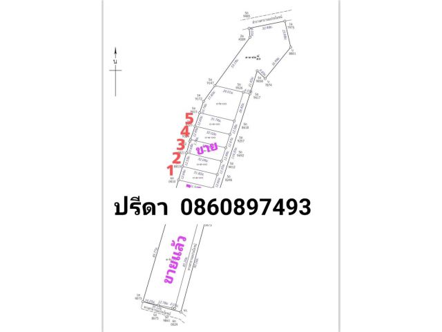 ที่ดินใกล้ตัวเมืองระยอง แบ่งล๊อคขาย100ตรว.