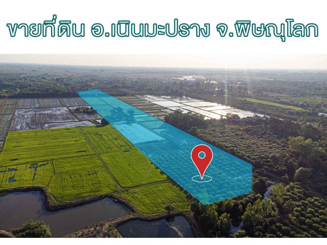 #ที่ดินเจ้าของขายเอง #ที่นาราคาถูก #ขายที่นา โฉนด ติดแหล่งน้ำธรรมชาติ อยู่ที่ ต.ไทรย้อย อ.เนินมะปราง จ.พิษณุโลก