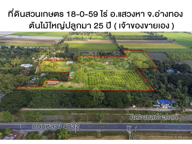 ที่ดินสวนเกษตร โคกหนองนา เจ้าของขายเอง ต.บ้านพราน อ.แสวงหา จ.อ่างทอง เดินทางสะดวก  ขนาดพื้นที่ 18-0-59 ไร่