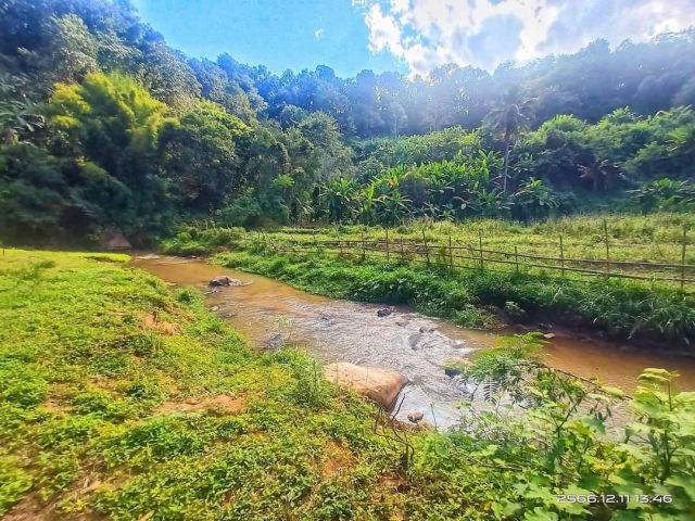 ขายที่ดินติดลำธาน้ำไหลผ่านสะเมิงวิวดอยพร้อมโอน