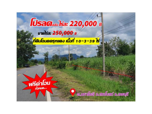 ►►โปรลดราคาส่งท้ายสิ้นปี►► 》》ขายที่ดินติดถนนสาย 2340 บ้านมหาโพธิ มีไฟฟ้า, ใกล้ชุมชน การเดินทางสะดวก ●ต.มหาโพธิ อ.สระโบสถ