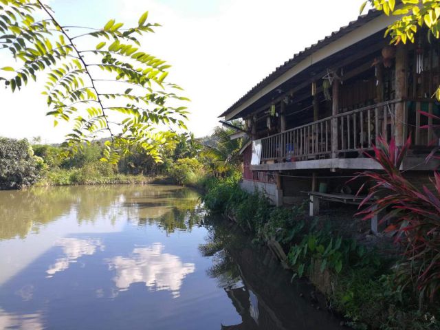 ขายที่นา พร้อมบ้านพักรับรอง