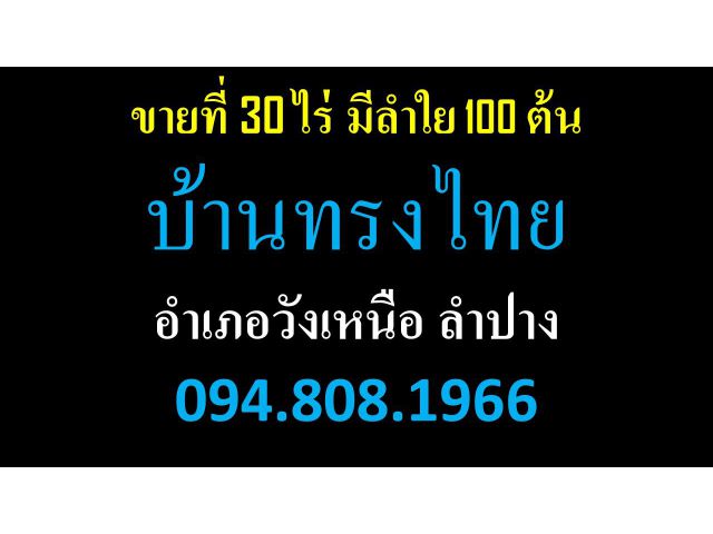 อำเภอวังเหนือ ลำปาง 094.808.1966