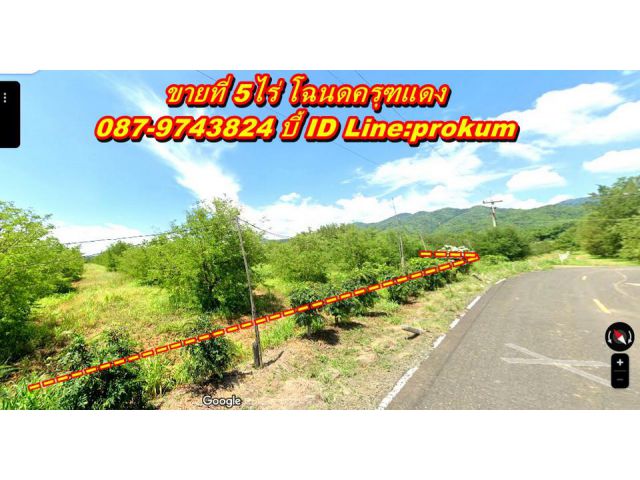 ขายที่ดินเพชรบูรณ์ 5 ไร่ติดถนนลาดยาง