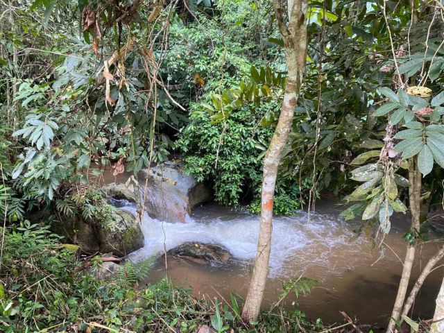 ขายที่ดินติดลำธารน้ำเสียงน้ำตกติดถนนบ้านเทพเสด็จดอยสะเก็ตเอกสาร สค1