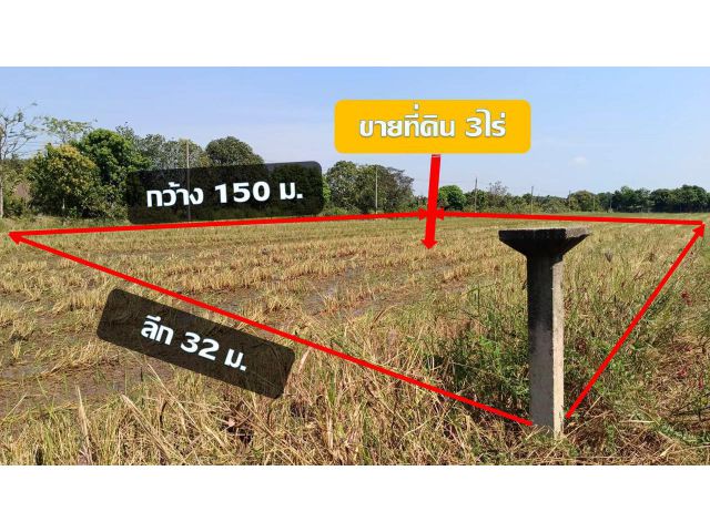 ขายที่ดินเปล่า 3 ไร่ราคาถูก เพียง 3.75ล้านบาท ย่านหนองเสือ ปทุมธานี  เหมาะทำบ้านสวนวัยเกษียณ โคกหนองนา บ้านพักตากอากาศ