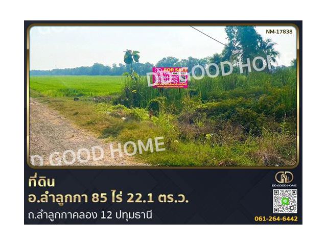 ที่ดิน อ.ลำลูกกา 85 ไร่ 22.1 ตร.ว. ถ.ลำลูกกาคลอง 12 ปทุมธานี