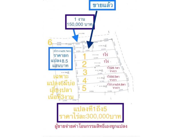 เจ้าของแบ่งขายที่ดิน สำหรับปลูกบ้าน  บ้านโนนไทรโยง ใกล้ตลาดโคกสวาย โนนไทย อ.พระทองคำ นครราชสีมา มีไฟฟ้า ประปา ติดถนนลาดยาง