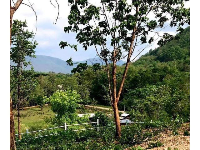 ขายที่ดินบ้านสหกรณ์ 2 ติดถนนสายโป่งนกหลังถ้ำเมืองออนเชียงใหม่