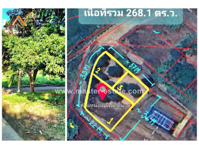 ที่ดิน 3 แปลง 268.1 ตร.ว. ในโครงการสมหวัง เมาเท่นวิลล์ มุมสวย ปลูกลำไย มะม่วง แอปเปิ้ล ลิ้นจี่ น้ำ-ไฟพร้อม เชียงใหม่