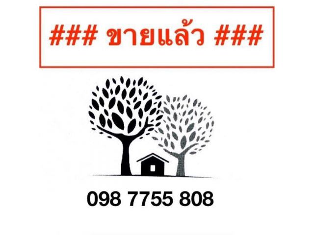 ที่ดิน 3 ไร่ ถนนสายเอเชีย ใกล้เซ็นทรัลอยุธยา 098 7755 808