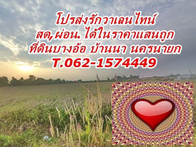 โปรส่งรักวาเลนไทน์สดผ่อนได้ขายถูกมากที่ดินบ้านนา นครนายก T.062-1574449