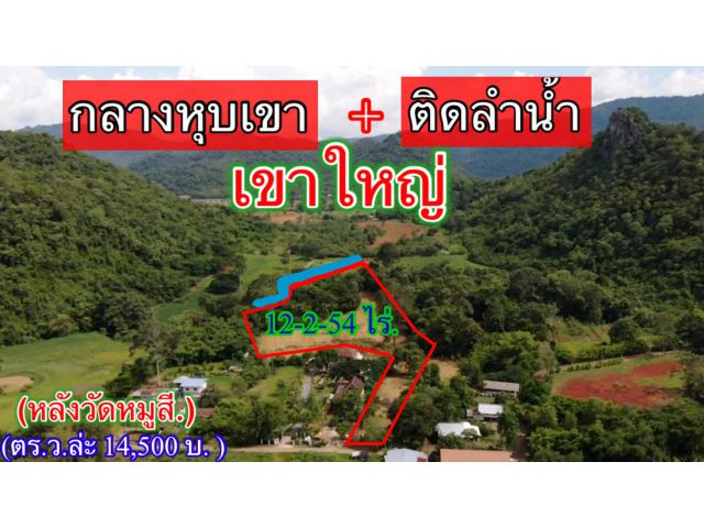 #ขายที่ดินเขาใหญ่ติดถนนธนรัชน์ เพียง 500 ม.ท่ามกลางเขา,ติด น้ำลำตะคลอง 12 ไร่.| ข้างชาโตว์ ต.หมูสี | ตรว.ล่ะ 14,500 บ.