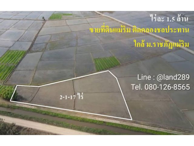 ขายที่ดินแม่ริม ใกล้ม.ราชภัฏ​แม่ริม  เนื้อที่ 2-1-17 ไร่ ที่นาติดคลองชลประทาน