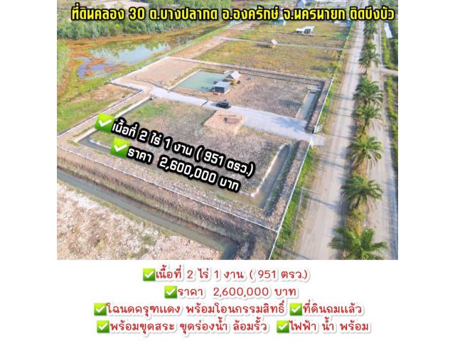 ที่ดินคลอง30