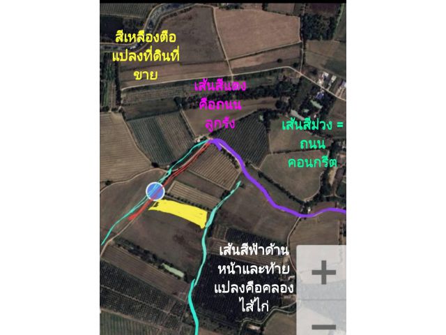 ขายที่ดิน 4 ไร่ 3 งาน 72 ตรว. ต.หนองกลางนา อ.เมือง จ.ราชบุรี