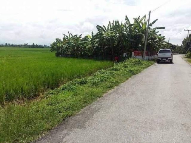 ขายที่ดินติดถนนทำเลบ้านมะขุนหวานสันป่าตองค้าขายได้