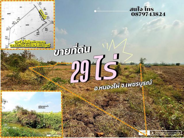 ขายที่ดินเพชรบูรณ์  29 ไร่ๆละ100,000 บาทโฉนดครุฑแดง