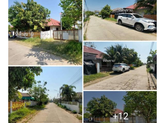 <ขายที่ดิน223ตร.ว.>อยู่บ้านหนองโค้งซอย9 ตรงข้ามกาดอุ้ยทา ใกล้กับสี่แยกบ่อสร้าง #ยกให้ฟรี?บ้านชั้นเดียว6ห้องนอน เอาไปรีโน