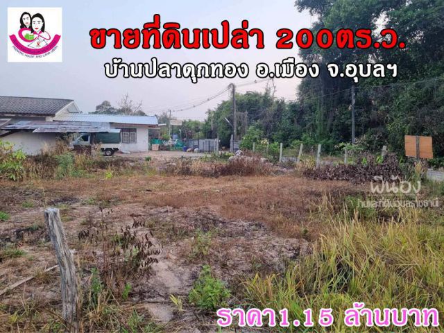 ขายที่ดินเปล่า 200ตร.ว. ติดถนนคอนกรีต ห่างจากถนนเลี่ยงเมือง 600เมตร บ้านปลาดุกทอง ต.ไร่น้อง อ.เมือง จ.อุบลราชธานี