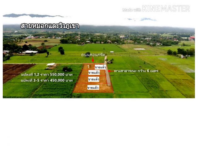 ขายที่ดิน 2 งานโฉนดครุฑแดง ใกล้ๆ วิทยาลัยเฉลิมกาญจนาเพชรบูรณ์ ขาย 550,000 บาท