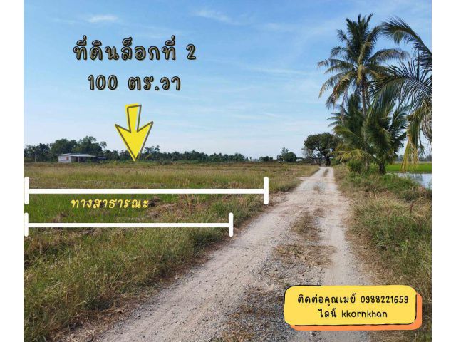 ขายที่ดินวัดพริก ม.7 พิษณุโลก 100 ตร.วา ห่าง ม.น. 6.3 กม.