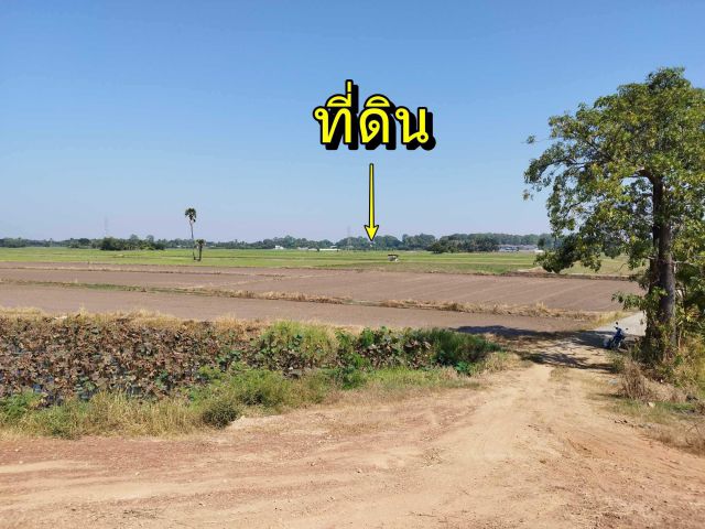 ที่ดินปากโทก ม.1 พิษณุโลก 5 ไร่ 71 ตร.วา